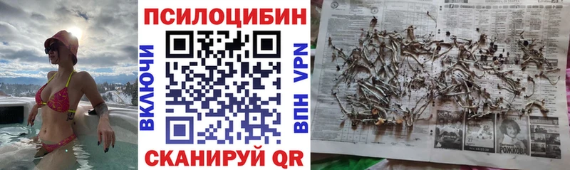 Купить  Элиста  Галлюциногенные грибы MAGIC MUSHROOMS 